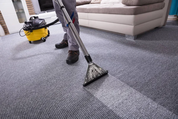 Professional Carpet Cleaning
